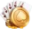 UU88 thủ thuật